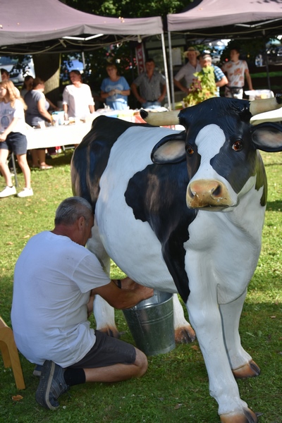 Kultura, Tradycja... i Placki! 2023